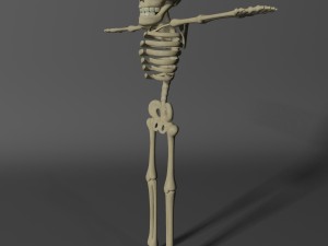cartoon skeleton rigged 3D-Modell