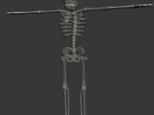 cartoon skeleton rigged 3D-Modell