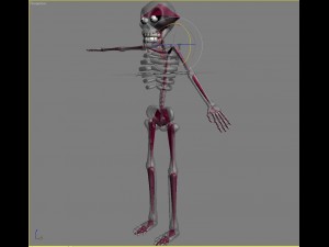 cartoon skeleton rigged 3D-Modell