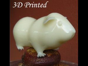 guinea pig cavia porcellus rigged 3D 모델
