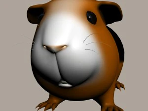 guinea pig cavia porcellus rigged 3D Model