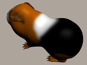 guinea pig cavia porcellus rigged 3D 모델