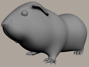 guinea pig cavia porcellus rigged 3D 모델