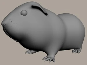 guinea pig cavia porcellus rigged 3D Model