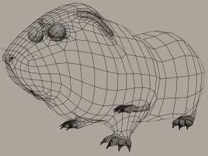 guinea pig cavia porcellus rigged 3D 모델