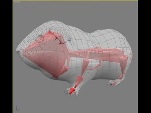 guinea pig cavia porcellus rigged 3D Model