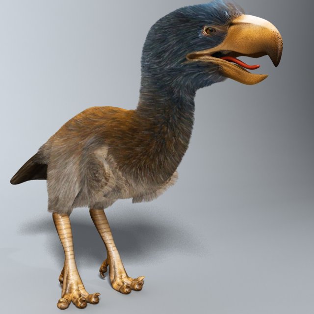 titanis walleri - terror bird rigged 3D Model .c4d .max .obj .3ds .fbx .lwo .lw .lws