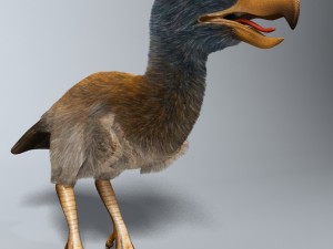 titanis walleri - terror bird rigged 3D Model