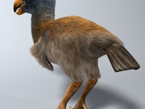 titanis walleri - terror bird rigged 3D Model
