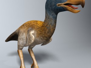 titanis walleri - terror bird rigged 3D Model