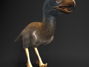 titanis walleri - terror bird rigged 3D Model