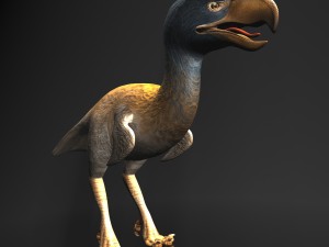 titanis walleri - terror bird rigged 3D Model