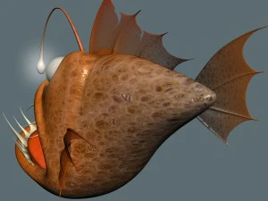 cartoon anglerfish rigged 3D Model