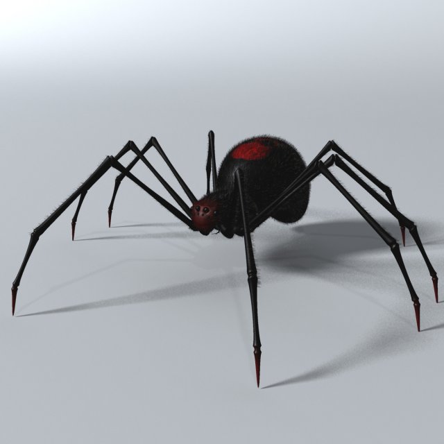 black spider rigged Modello 3D .c4d .max .obj .3ds .fbx .stl .blend 