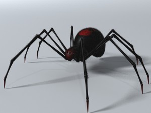 black spider rigged 3D Model