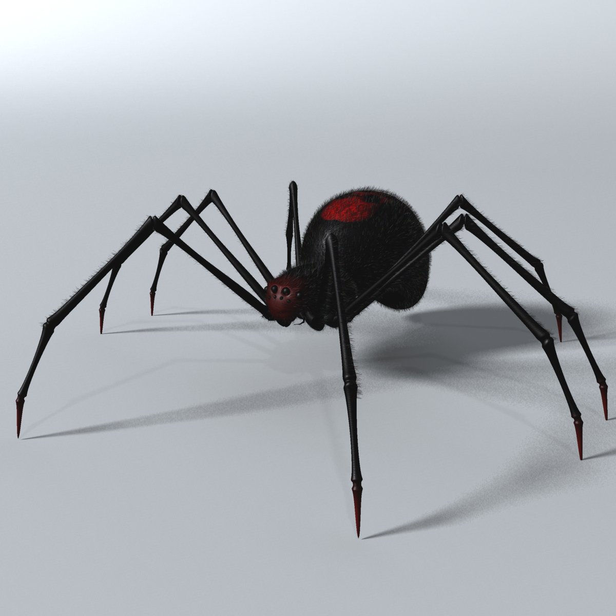 Spider 3d 2025