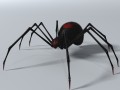 Black Spider Rigged 3D-Modell