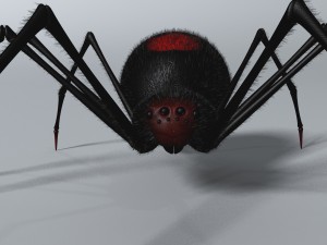 black spider rigged Modello 3D