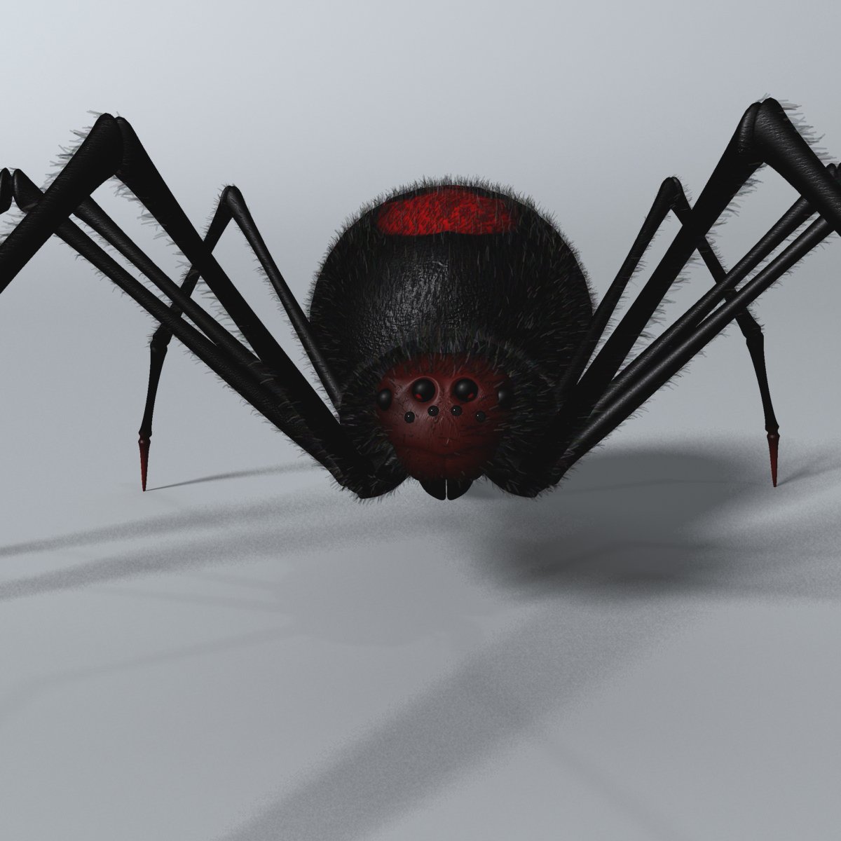 Модель паука