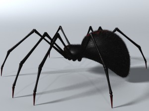 black spider rigged Modello 3D