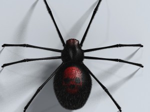 black spider rigged Modello 3D