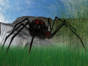 black spider rigged Modello 3D