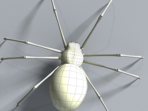 black spider rigged Modello 3D