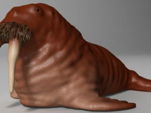 walrus rigged 3D Model