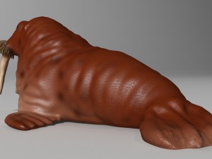 walrus rigged Modelo 3D