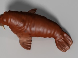 walrus rigged Modelo 3D