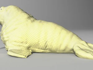walrus rigged 3D Model