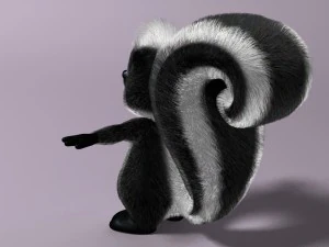 cartoon skunk rigged 3D Model