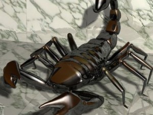 scorpion 3d Modèle 3D