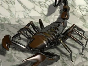 scorpion 3d 3D Model
