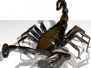 scorpion 3d 3Dモデル
