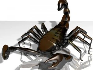 scorpion 3d 3D Model
