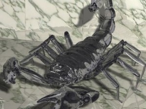 scorpion 3d 3Dモデル