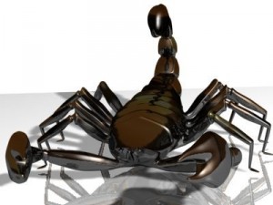 scorpion 3d 3Dモデル