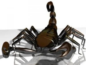 scorpion 3d 3D Model