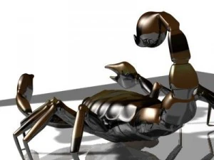 scorpion 3d 3D Model