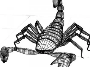 scorpion 3d 3D Model