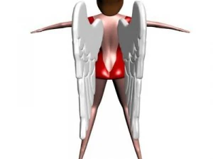 angel in red 3d 3D Model