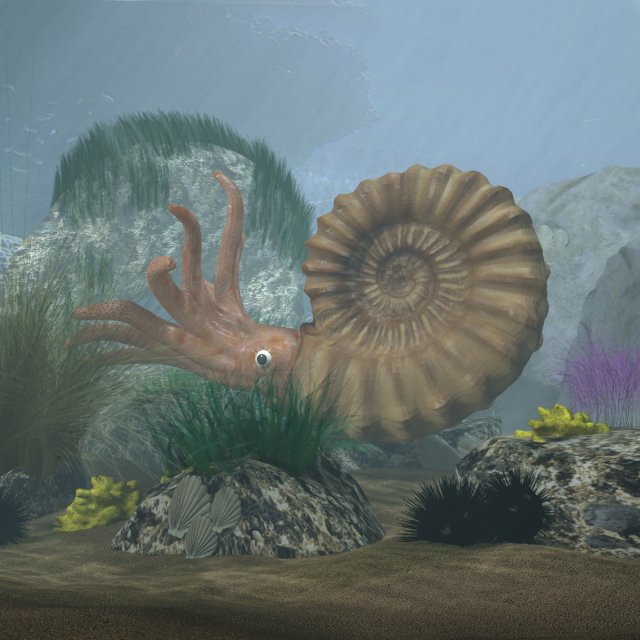 ammonite with complete underwater scene 3D Модель .c4d .max .obj .3ds .fbx .stl .blend 