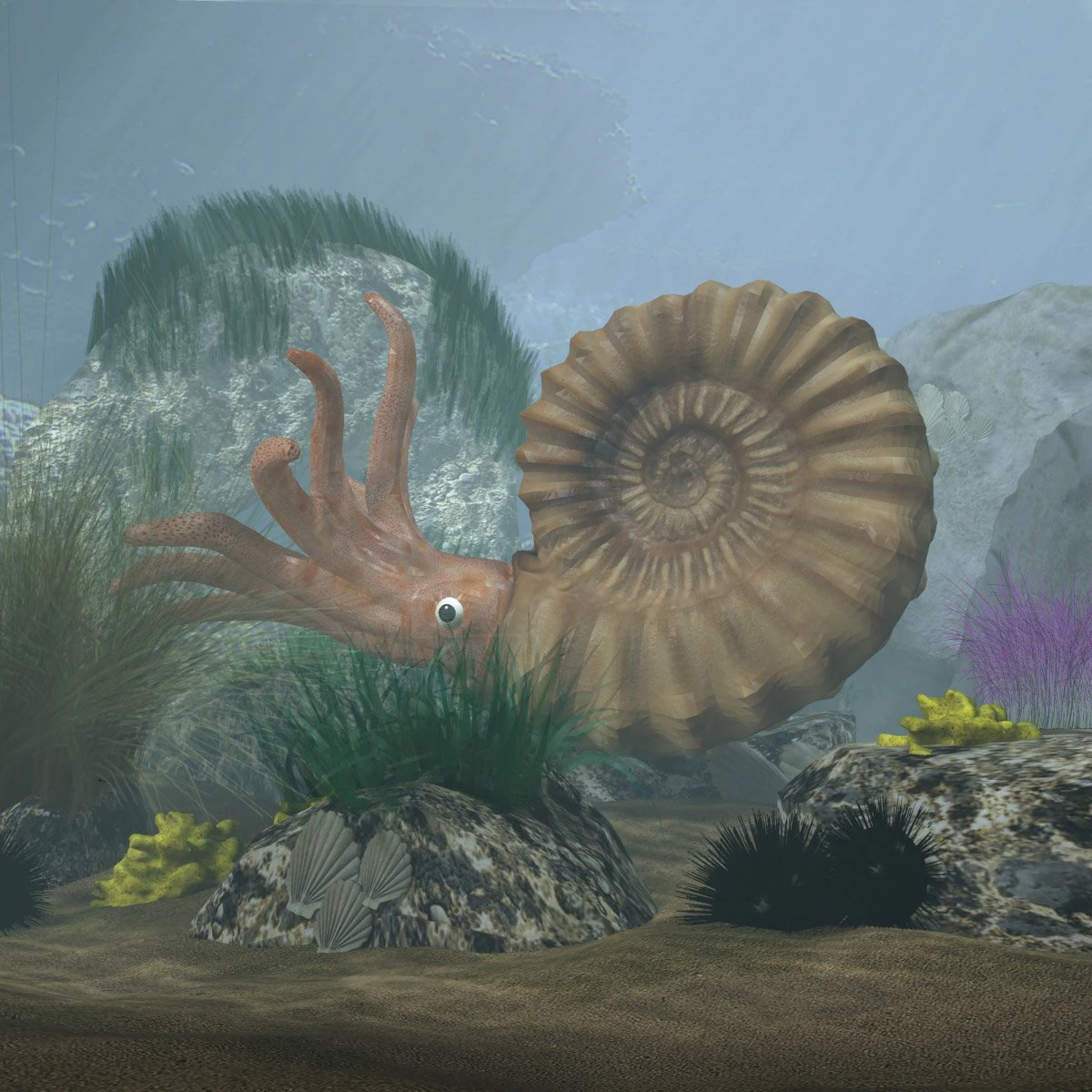 ammonite with complete underwater scene 3D Model .c4d .max .obj .3ds .fbx .stl .blend