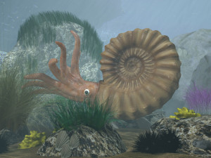 ammonite with complete underwater scene 3D Model