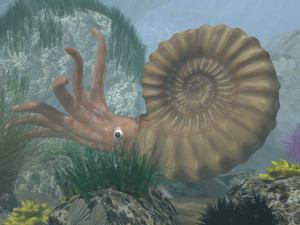 ammonite with complete underwater scene 3D Модель