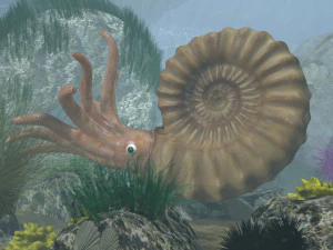 ammonite with complete underwater scene 3D Model