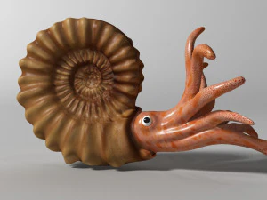 ammonite with complete underwater scene 3D Model
