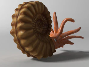 ammonite with complete underwater scene 3D Model