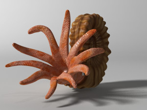 ammonite with complete underwater scene 3D Модель